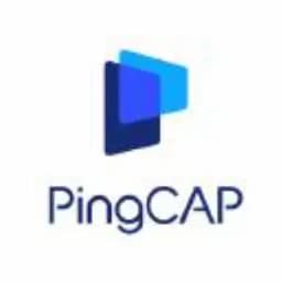 PingCAP